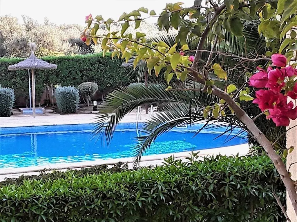 Apartment En Capillo contacts